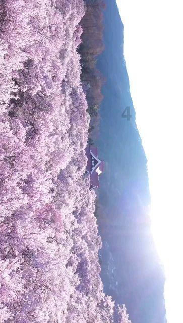 山海经