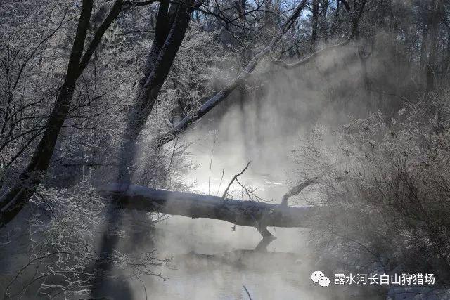 办公室助理