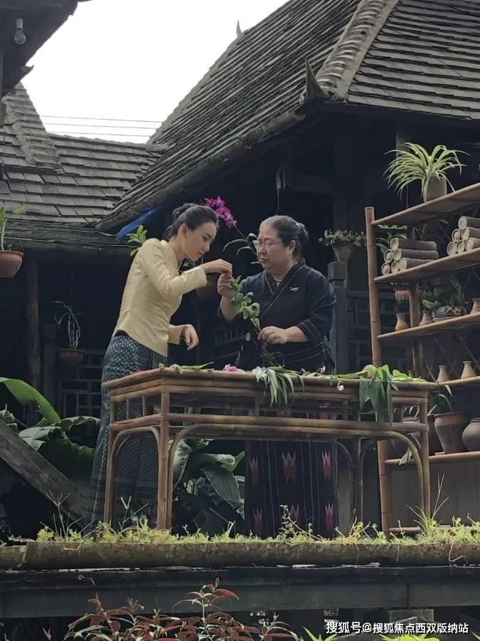 清洁粉红房子