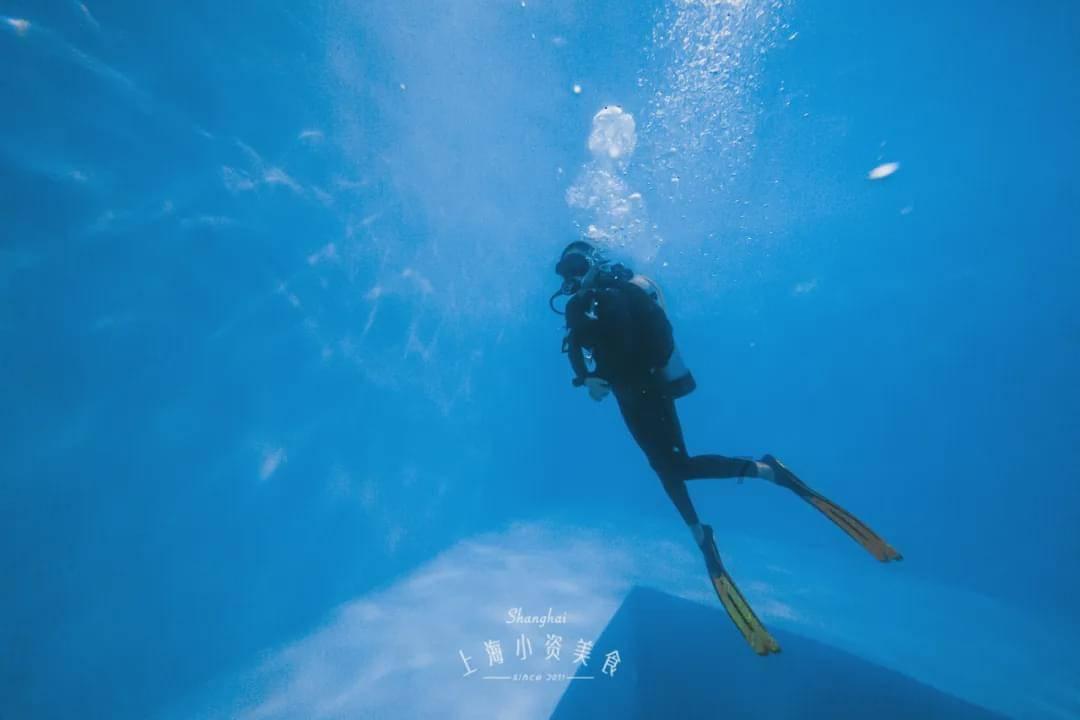 僵尸猎人赏金大赛