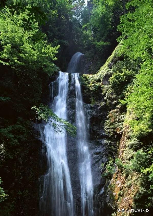 新疆乌什7.1级地震断层解析
