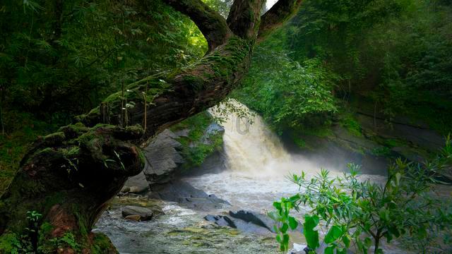 港股全线走强,网易-S领涨,低费率恒生科技ETF基金(513260)盘中大涨超3%