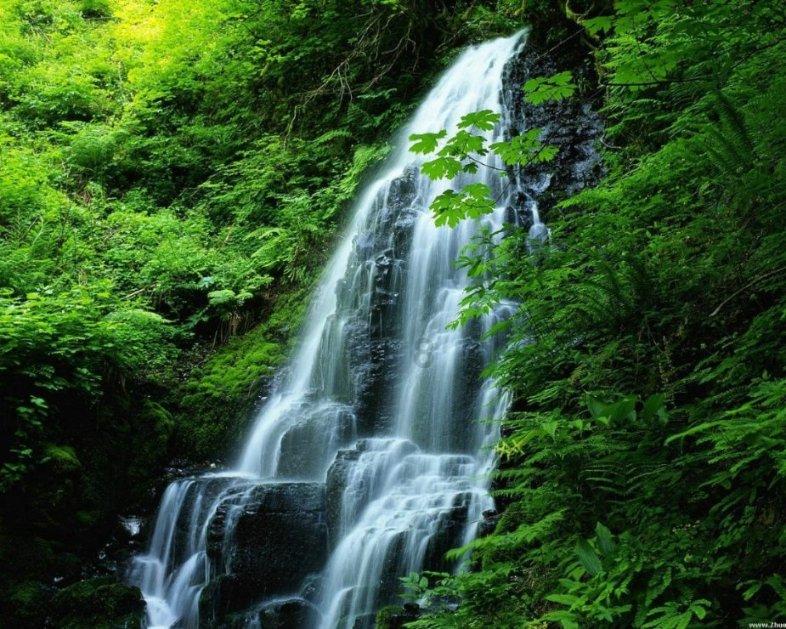 一日阵亡24人 以军在加沙地带遭遇最致命一天