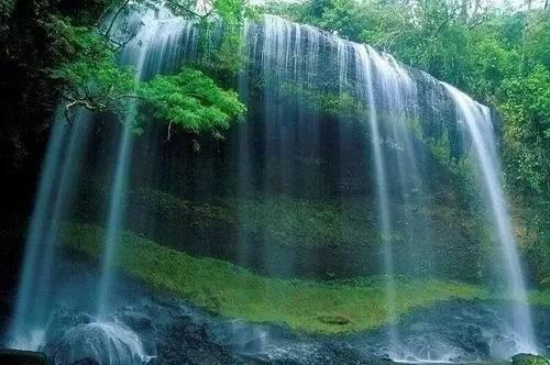 迷失在荒野